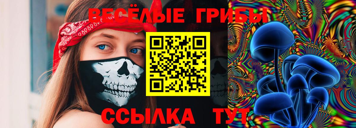 Псилоцибиновые грибы Psilocybe  Вход с VPN  Городец 